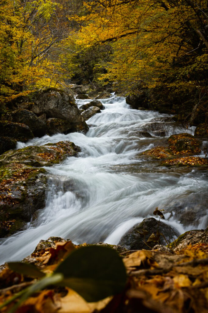 Mountain river autumn